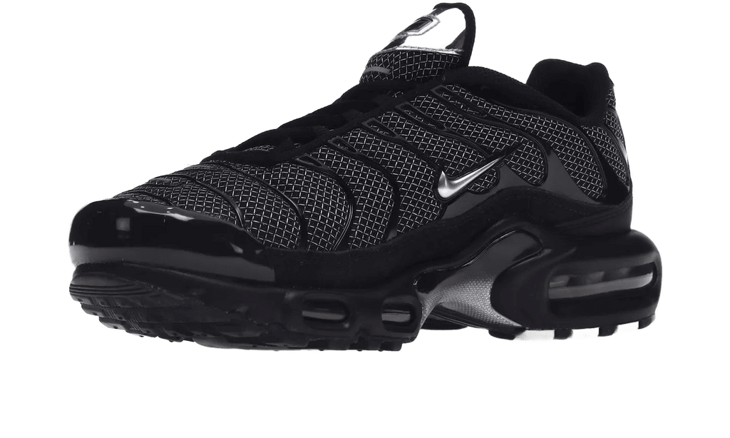 Nike Air Max Plus Black Suede Silver  - DQ0850-001