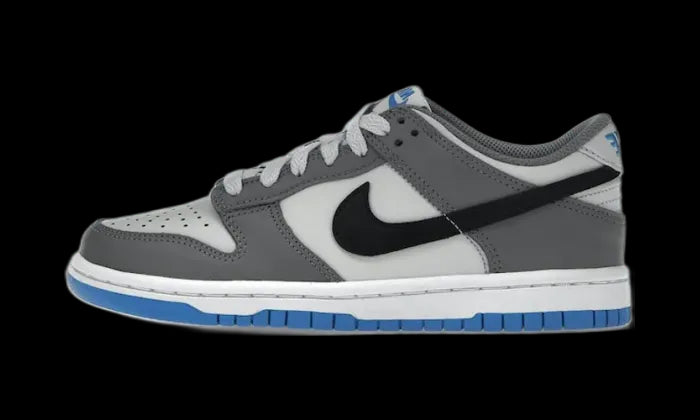 Nike Dunk Low Cool Grey Light Photo Blue - FB9109-001