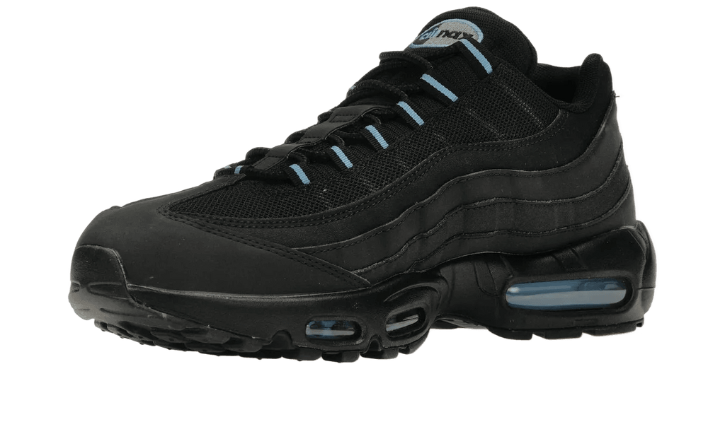 Nike Air Max 95 Black University Blue - FJ4217-002 / 307565-006
