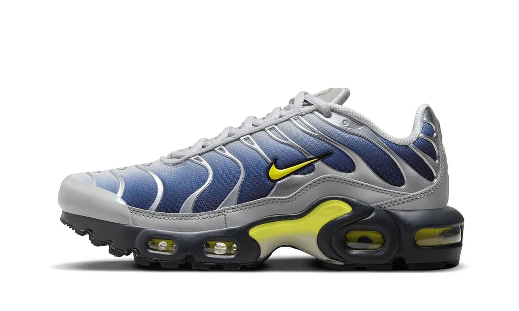 Air Max Plus Obsidian Silver - HF0030-001