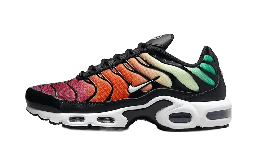 Nike Air Max Plus Rainbow - DZ3670-001