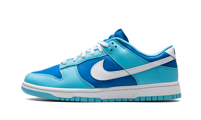 Nike Dunk Low Retro QS Argon White Blue Flash - DM0121-400