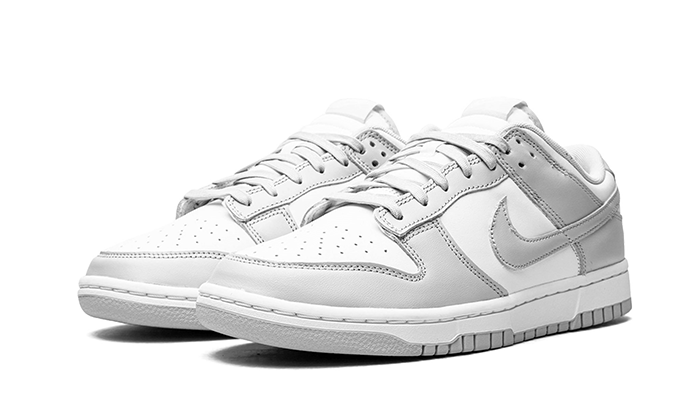 Nike Dunk Low Grey Fog - DD1391-103