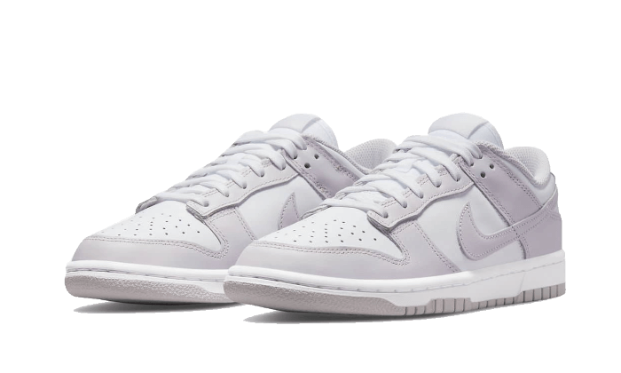 Nike Dunk Low Venice (W) - DD1503-116